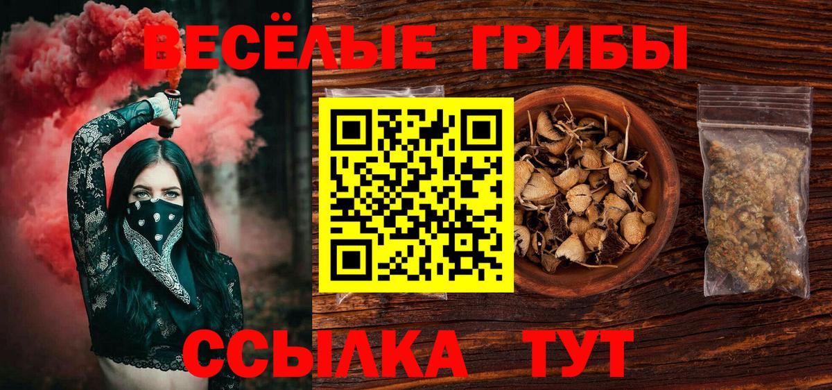 Йошкар-Ола  Псилоцибиновые грибы MAGIC MUSHROOMS  Вход с VPN 